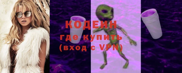хмурый Лиски