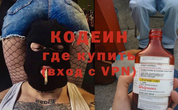 хмурый Лиски