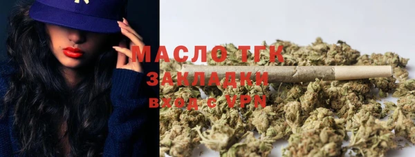 хмурый Лиски