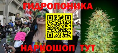 дживик Кунгур