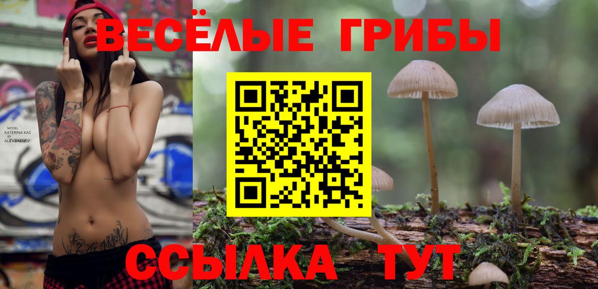 где можно купить   Вход с VPN  Учалы  Псилоцибиновые грибы GOLDEN TEACHER  Галлюциногенные грибы MAGIC MUSHROOMS 