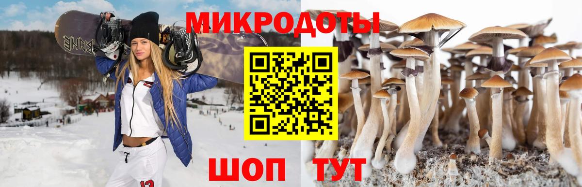 Галлюциногенные грибы ЛСД Учалы