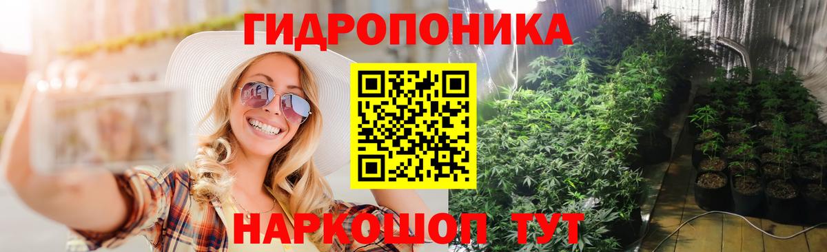 Каннабис OG Kush  МАРИХУАНА VHQ  Учалы  Конопля VHQ  Конопля Ganja 